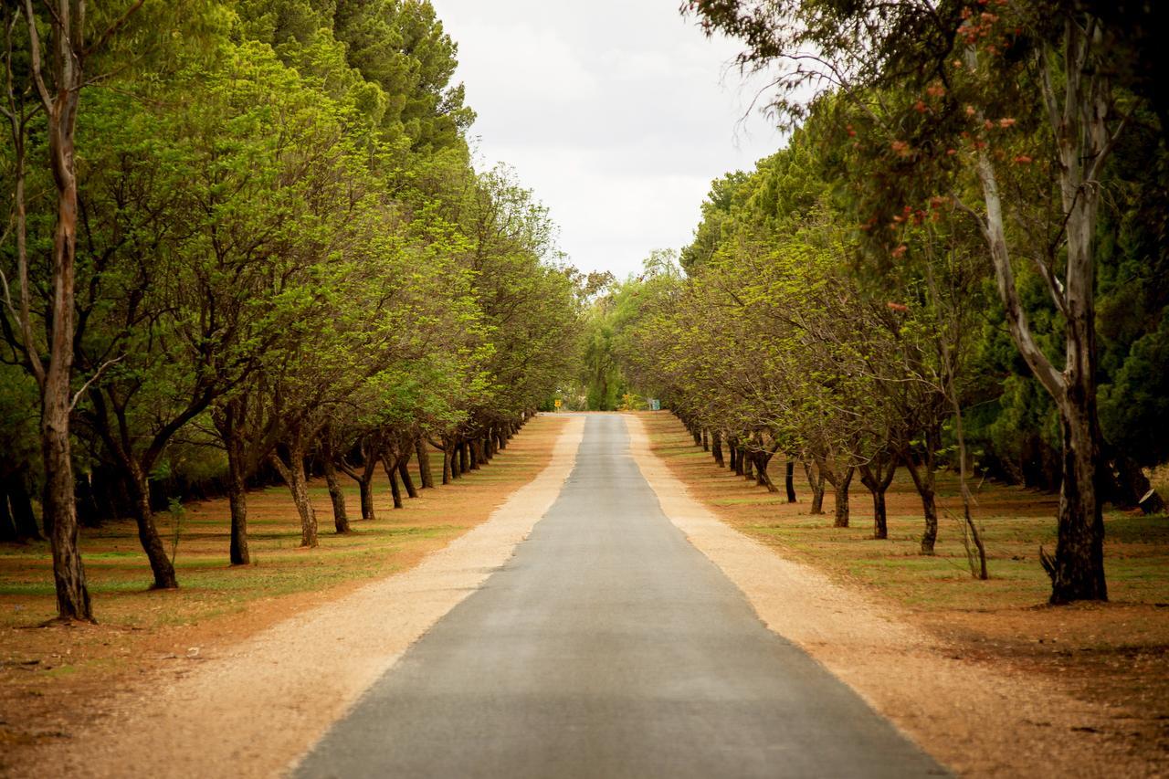 Renmark Country Club Экстерьер фото