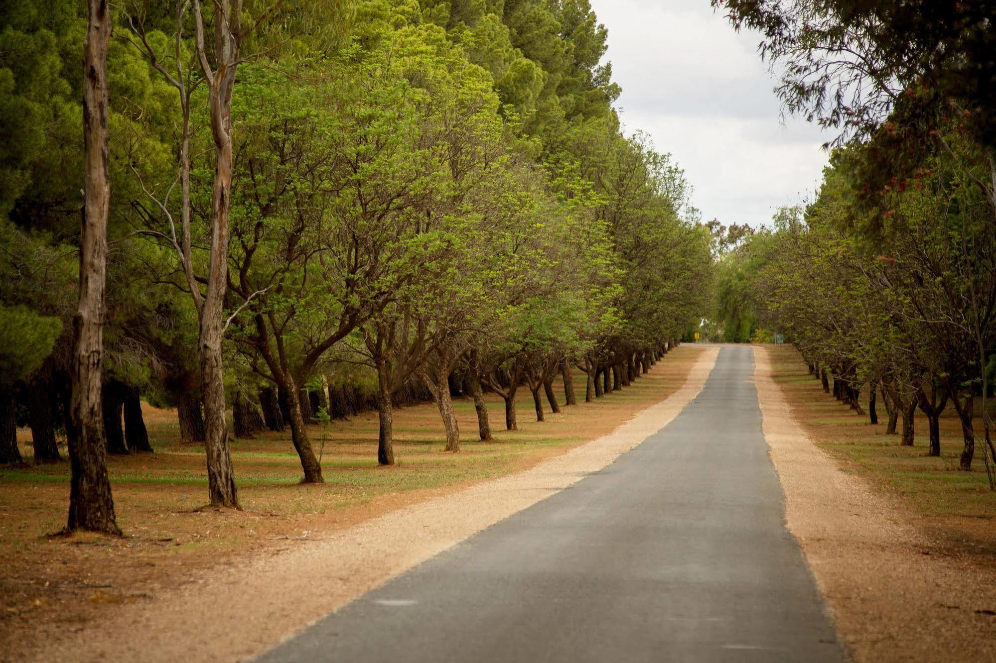 Renmark Country Club Экстерьер фото