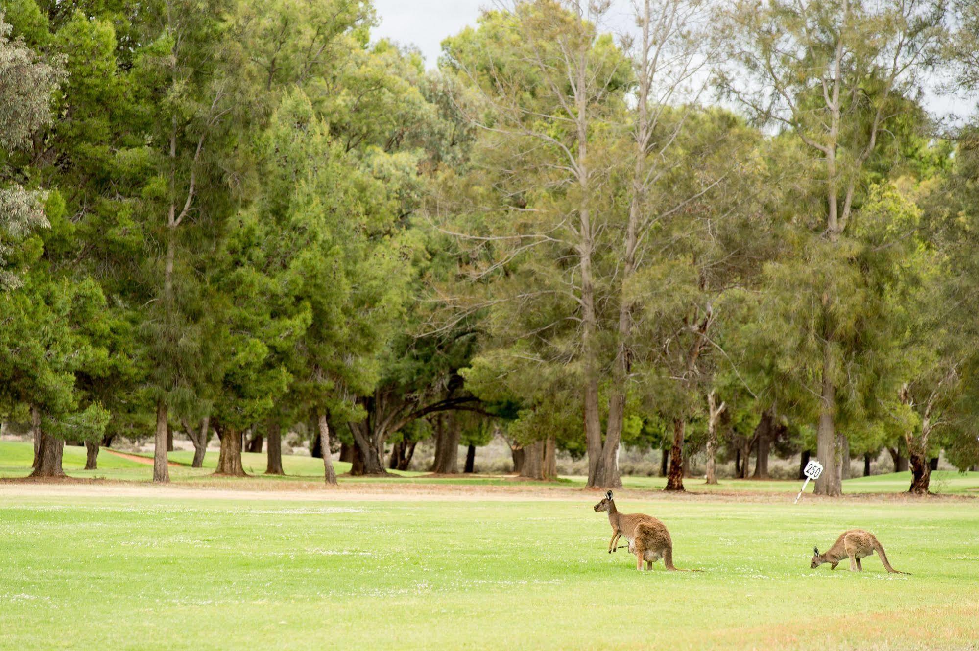 Renmark Country Club Экстерьер фото