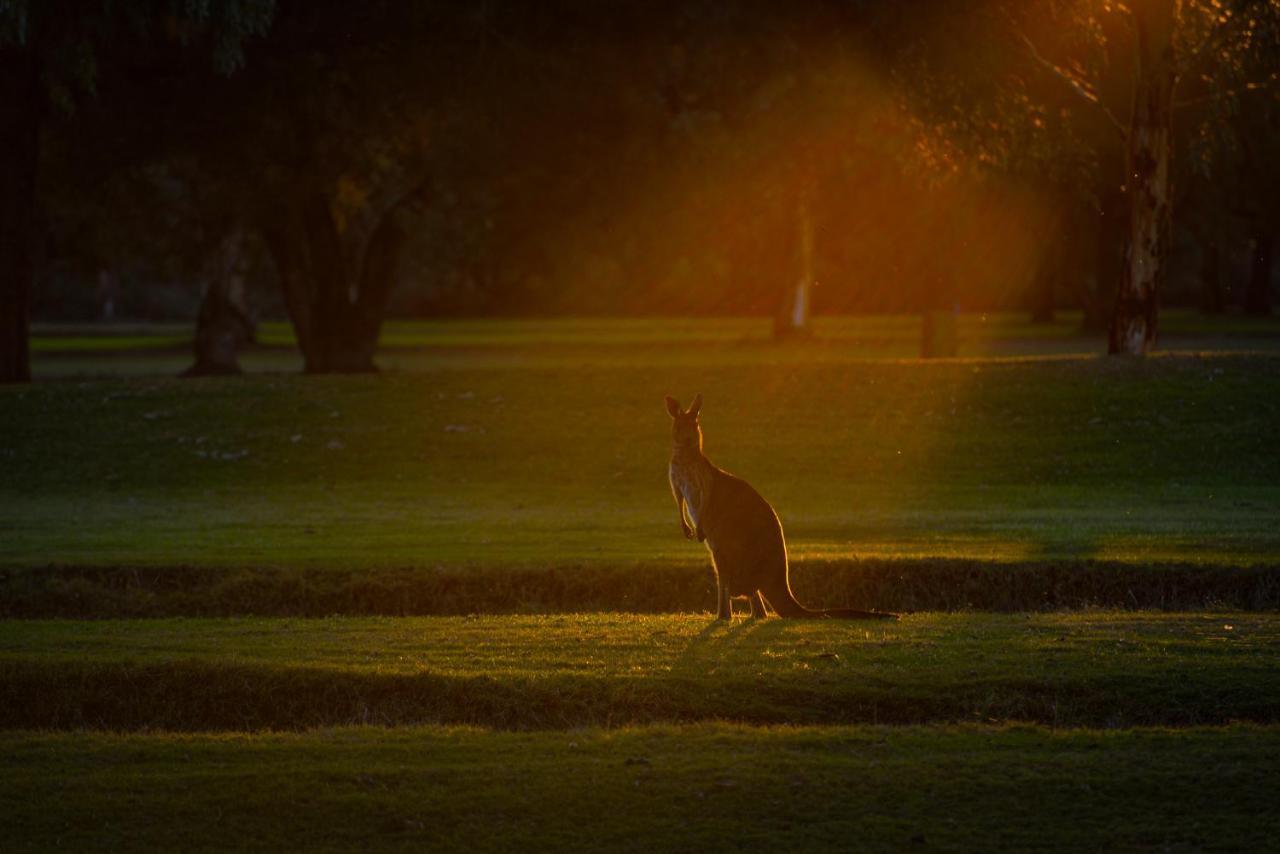 Renmark Country Club Экстерьер фото