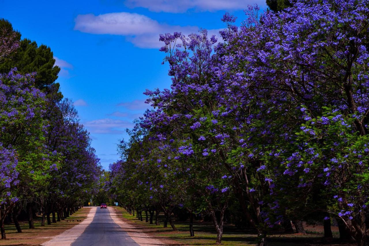 Renmark Country Club Экстерьер фото