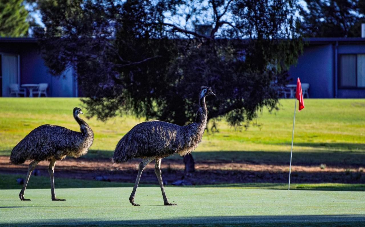 Renmark Country Club Экстерьер фото